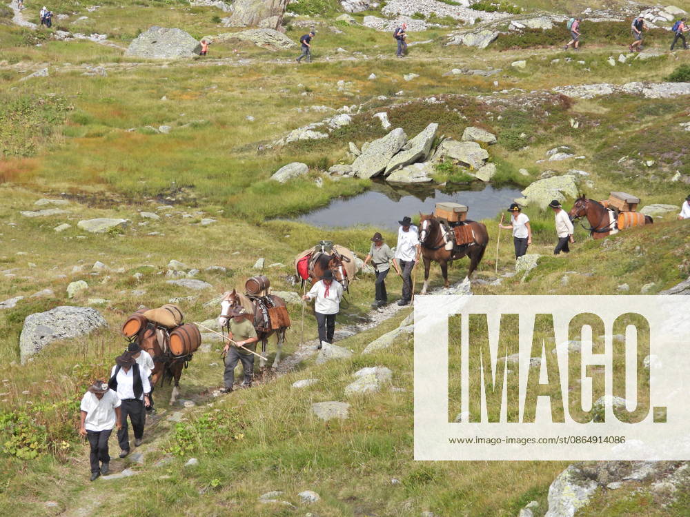 Switzerland, Grimsel Pass, Saeumerfest (23rd Anniversary), Sprinz Route from Sachseln to Domodossola, Stage 4: Guttannen–Obergesteln. Photo: The Saeumer with their horses on the ascent to the Grimsel Pass