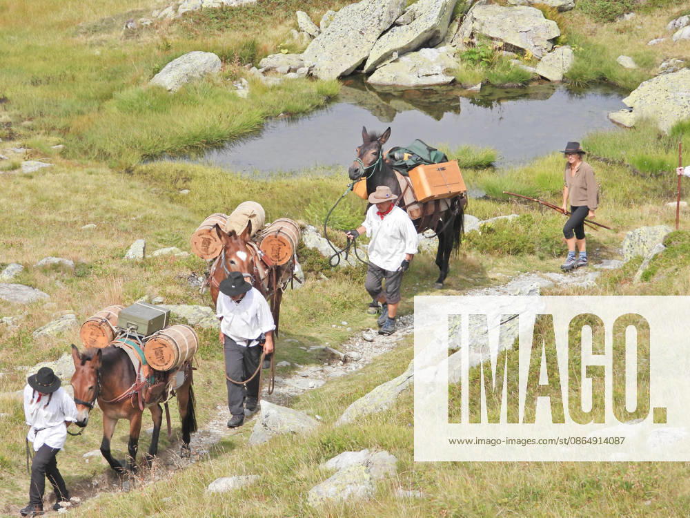 Switzerland, Grimsel Pass, Saeumerfest (23rd Anniversary), Sprinz Route from Sachseln to Domodossola, Stage 4: Guttannen–Obergesteln. Photo: The Saeumer with their horses on the ascent to the Grimsel Pass