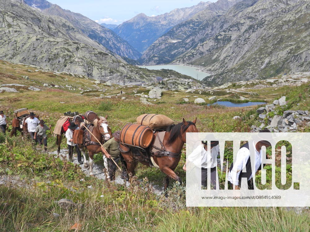 Switzerland, Grimsel Pass, Saeumerfest (23rd Anniversary), Sprinz Route from Sachseln to Domodossola, Stage 4: Guttannen–Obergesteln. Photo: The Saeumer with their horses on the ascent to the Grimsel Pass
