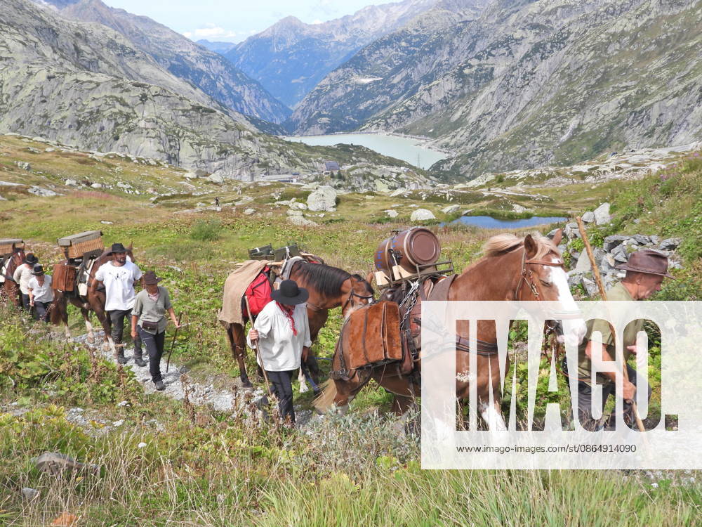 Switzerland Grimsel Pass Saeumerfest 23 Years of Sprinz Route from Sachseln to Domodossola Stage 4: Guttannen–Obergesteln Photo: The Saeumer with horses on the ascent to the Grimsel Pass; Lake Raeterichsboen in the background