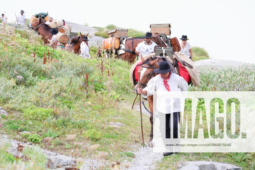 Switzerland, Grimsel Pass, Saeumerfest (23rd Anniversary of the Sprinz Route) from Sachseln to Domodossola, Stage 4: Guttannen–Obergesteln. Photo: The Saeumer with their horses climbing the Grimsel Pass; in the background, the Grimsel Reservoir.