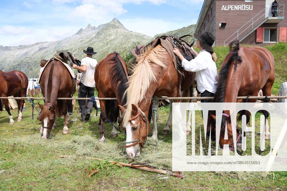 Switzerland, Grimsel Pass, Saeumerfest, 23 Years of the Sprinz Route from Sachseln to Domodossola, Stage 4: Guttannen–Obergesteln. Photo: The Saeumer with their horses during a stopover on the Grimsel Pass