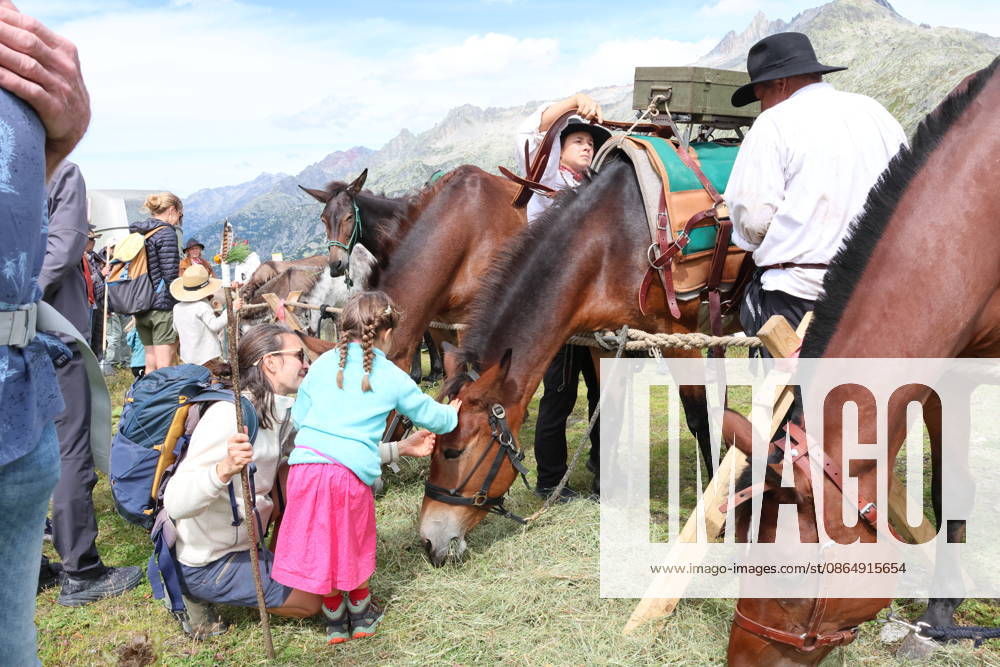 Switzerland, Grimsel Pass, Saeumerfest, 23 Years of the Sprinz Route from Sachseln to Domodossola, Stage 4: Guttannen–Obergesteln. Photo: The Saeumer with their horses during a stopover on the Grimsel Pass