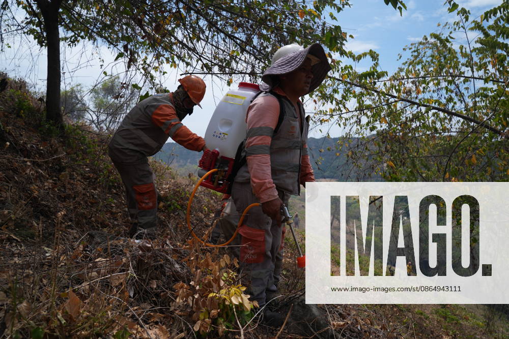 Wildfire in Colombia s Coello COELLO, COLOMBIA - AUGUST 26: Volunteers and firefighters work to contain a wildfire in Coello, Tolima department, Colombia, on August 26, 2026. Several municipalities across Tolima are facing wildfires fueled by dry conditions, high temperatures and strong winds, with emergency crews working to contain the flames and protect rural communities. Juancho Torres Anadolu Coello Colombia. Editorial use only. Please get in touch for any other usage.