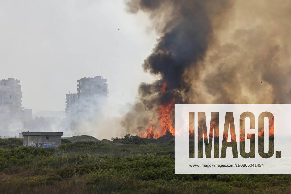 Several fire crews and aerial resources have been deployed to a fire in Gola de Pujol, in El Saler, Valencia. Flames and a column of smoke caused by a wildfire on August 27, 2026, in Gola de Pujol, El Saler, Valencia, Valencian Community, Spain. Three aerial resources and six crews from the Valencia Municipal Fire Department are working to extinguish a fire that broke out in Gola de Pujol, within the Devesa de El Saler, a protected area belonging to the Albufera Natural Park, which has already necessitated preventive evacuations of Tower 1 of the residential complex in the Devesa de El Saler area and the parking lot, and has led to the preventive closure of the CV 500 highway, which connects this natural area with Valencia. AUGUST 27, 2026
