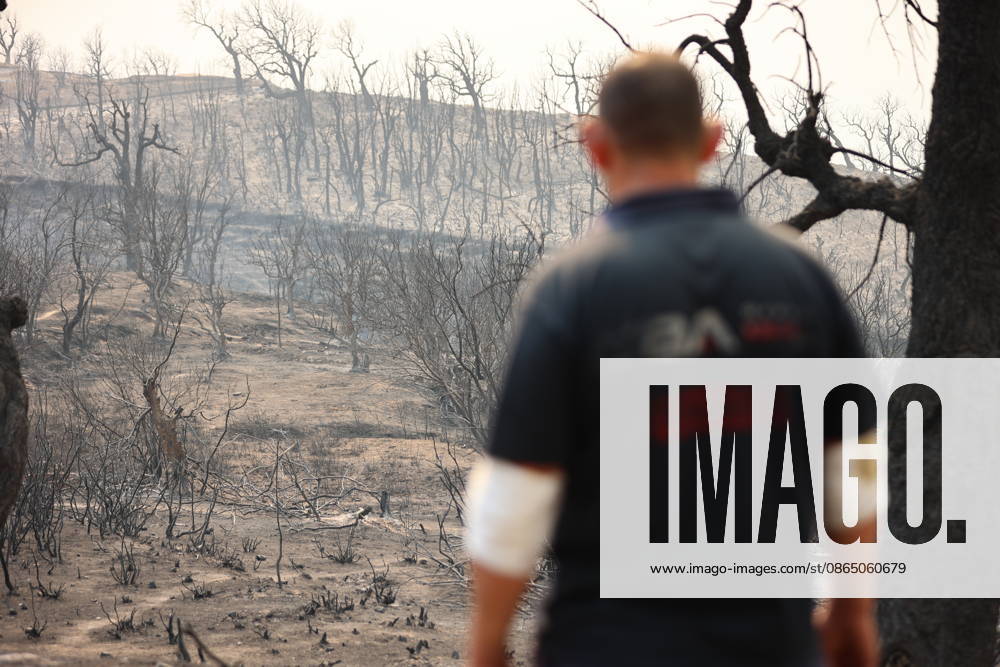 Wildfires in Algeria claim at least 12 lives across several provinces JIJEL, ALGERIA - AUGUST 27: Forest fires in eastern Algerian provinces turn green vegetation to ashes and cause material damage to homes and vehicles in the Beni Aicha village of Boraoui Belhadef Municipality in Jijel, Algeria on August 27, 2026. At least 12 people have died in wildfires that have swept through several provinces in Algeria, Interior Minister Said Sayoud said Wednesday, according to local media. The 159 fire outbreaks reported across the country have claimed five lives in Jijel, four in Bejaia and three in Tizi Ouzou. Hamza Zait Anadolu Jijel Algeria. Editorial use only. Please get in touch for any other usage.