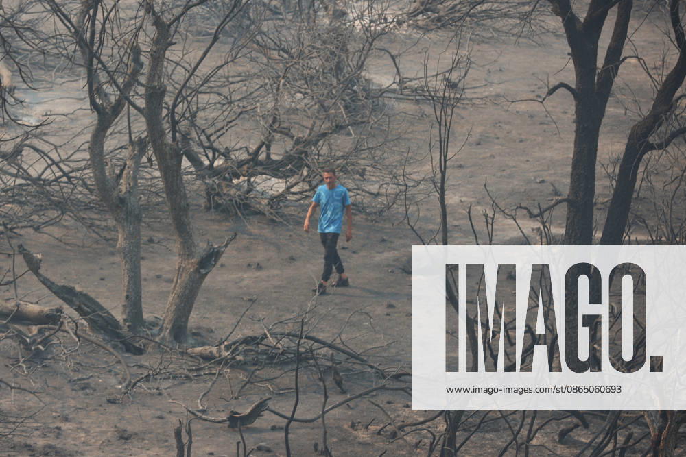 Wildfires in Algeria claim at least 12 lives across several provinces JIJEL, ALGERIA - AUGUST 27: Forest fires in eastern Algerian provinces turn green vegetation to ashes and cause material damage to homes and vehicles in the Beni Aicha village of Boraoui Belhadef Municipality in Jijel, Algeria on August 27, 2026. At least 12 people have died in wildfires that have swept through several provinces in Algeria, Interior Minister Said Sayoud said Wednesday, according to local media. The 159 fire outbreaks reported across the country have claimed five lives in Jijel, four in Bejaia and three in Tizi Ouzou. Hamza Zait Anadolu Jijel Algeria. Editorial use only. Please get in touch for any other usage.