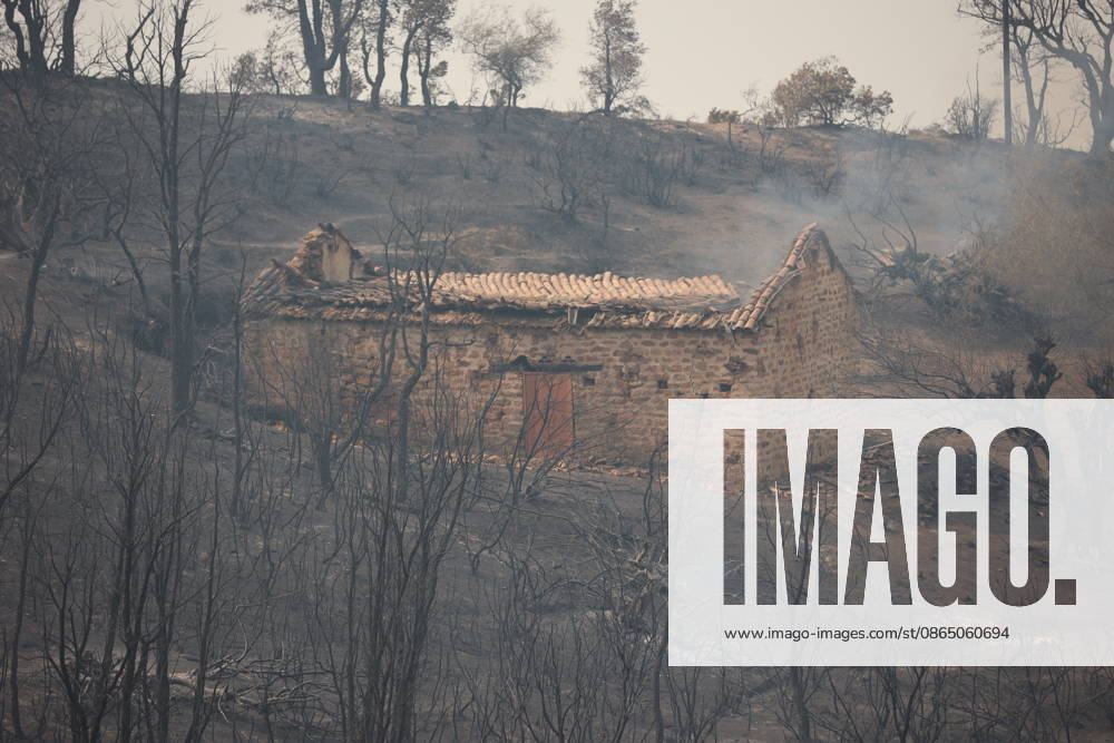 Wildfires in Algeria claim at least 12 lives across several provinces JIJEL, ALGERIA - AUGUST 27: Forest fires in eastern Algerian provinces turn green vegetation to ashes and cause material damage to homes and vehicles in the Beni Aicha village of Boraoui Belhadef Municipality in Jijel, Algeria on August 27, 2026. At least 12 people have died in wildfires that have swept through several provinces in Algeria, Interior Minister Said Sayoud said Wednesday, according to local media. The 159 fire outbreaks reported across the country have claimed five lives in Jijel, four in Bejaia and three in Tizi Ouzou. Hamza Zait Anadolu Jijel Algeria. Editorial use only. Please get in touch for any other usage.