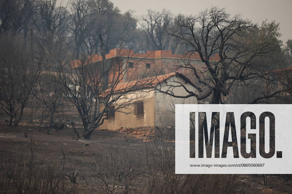 Wildfires in Algeria claim at least 12 lives across several provinces JIJEL, ALGERIA - AUGUST 27: Forest fires in eastern Algerian provinces turn green vegetation to ashes and cause material damage to homes and vehicles in the Beni Aicha village of Boraoui Belhadef Municipality in Jijel, Algeria on August 27, 2026. At least 12 people have died in wildfires that have swept through several provinces in Algeria, Interior Minister Said Sayoud said Wednesday, according to local media. The 159 fire outbreaks reported across the country have claimed five lives in Jijel, four in Bejaia and three in Tizi Ouzou. Hamza Zait Anadolu Jijel Algeria. Editorial use only. Please get in touch for any other usage.