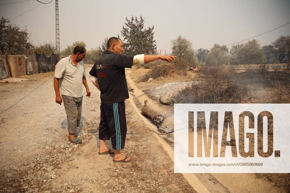 Wildfires in Algeria claim at least 12 lives across several provinces JIJEL, ALGERIA - AUGUST 27: Forest fires in eastern Algerian provinces turn green vegetation to ashes and cause material damage to homes and vehicles in the Beni Aicha village of Boraoui Belhadef Municipality in Jijel, Algeria on August 27, 2026. At least 12 people have died in wildfires that have swept through several provinces in Algeria, Interior Minister Said Sayoud said Wednesday, according to local media. The 159 fire outbreaks reported across the country have claimed five lives in Jijel, four in Bejaia and three in Tizi Ouzou. Hamza Zait Anadolu Jijel Algeria. Editorial use only. Please get in touch for any other usage.