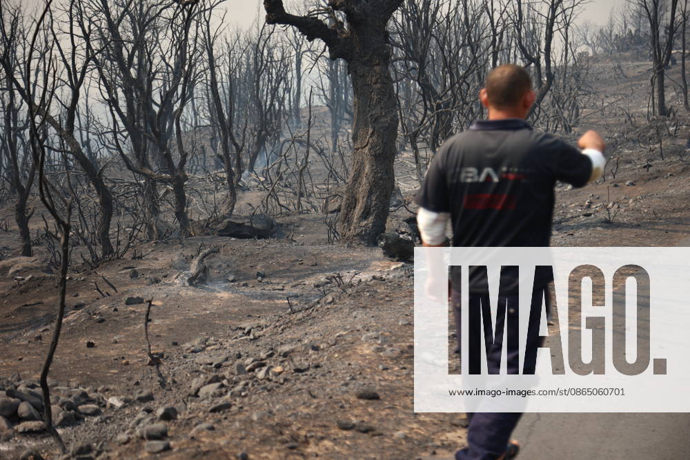 Wildfires in Algeria claim at least 12 lives across several provinces JIJEL, ALGERIA - AUGUST 27: Forest fires in eastern Algerian provinces turn green vegetation to ashes and cause material damage to homes and vehicles in the Beni Aicha village of Boraoui Belhadef Municipality in Jijel, Algeria on August 27, 2026. At least 12 people have died in wildfires that have swept through several provinces in Algeria, Interior Minister Said Sayoud said Wednesday, according to local media. The 159 fire outbreaks reported across the country have claimed five lives in Jijel, four in Bejaia and three in Tizi Ouzou. Hamza Zait Anadolu Jijel Algeria. Editorial use only. Please get in touch for any other usage.