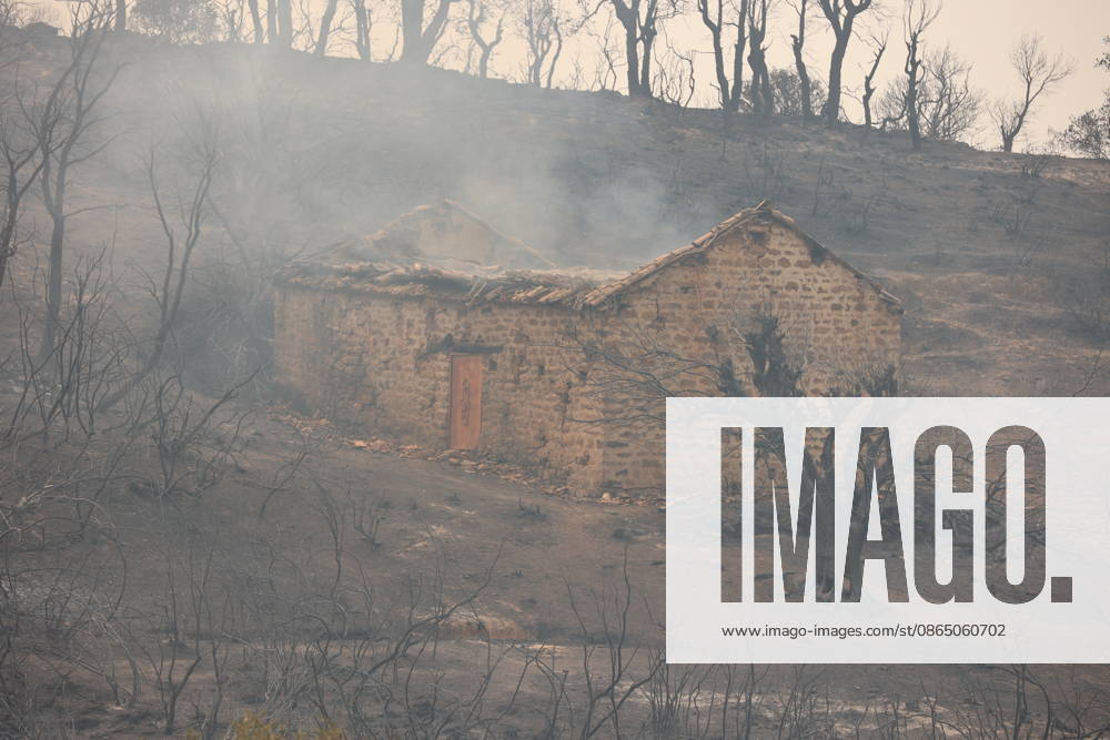 Wildfires in Algeria claim at least 12 lives across several provinces JIJEL, ALGERIA - AUGUST 27: Forest fires in eastern Algerian provinces turn green vegetation to ashes and cause material damage to homes and vehicles in the Beni Aicha village of Boraoui Belhadef Municipality in Jijel, Algeria on August 27, 2026. At least 12 people have died in wildfires that have swept through several provinces in Algeria, Interior Minister Said Sayoud said Wednesday, according to local media. The 159 fire outbreaks reported across the country have claimed five lives in Jijel, four in Bejaia and three in Tizi Ouzou. Hamza Zait Anadolu Jijel Algeria. Editorial use only. Please get in touch for any other usage.
