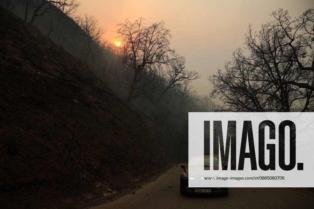 Wildfires in Algeria claim at least 12 lives across several provinces JIJEL, ALGERIA - AUGUST 27: Forest fires in eastern Algerian provinces turn green vegetation to ashes and cause material damage to homes and vehicles in the Beni Aicha village of Boraoui Belhadef Municipality in Jijel, Algeria on August 27, 2026. At least 12 people have died in wildfires that have swept through several provinces in Algeria, Interior Minister Said Sayoud said Wednesday, according to local media. The 159 fire outbreaks reported across the country have claimed five lives in Jijel, four in Bejaia and three in Tizi Ouzou. Hamza Zait Anadolu Jijel Algeria. Editorial use only. Please get in touch for any other usage.