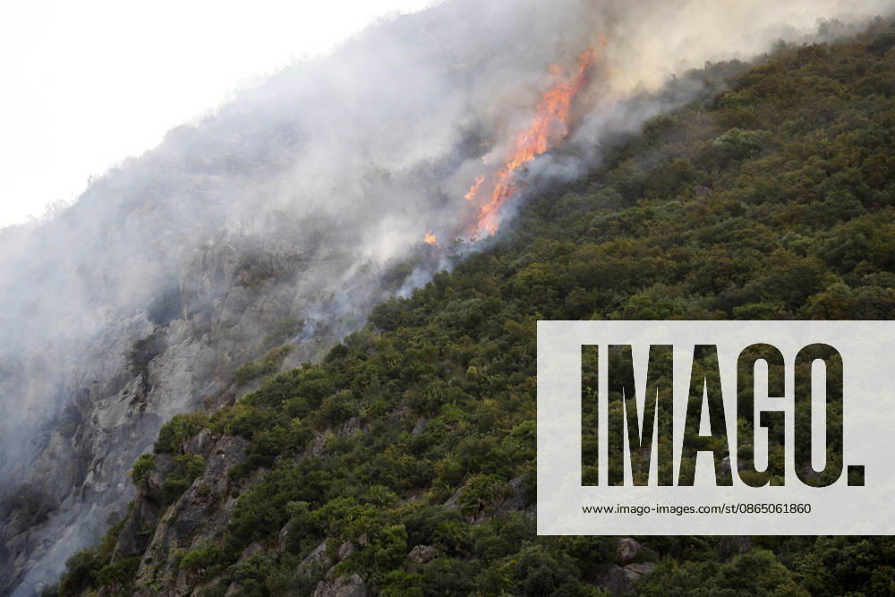 Fires in Jijel and Bedjaia: A general view of the burned houses, cars, and animals in the village of Nador, in the Jijel Mountains east of Algiers, in Algeria on August 27, 2026. The Algerian Ministry of the Interior announced that at least 12 people have died and 54 others have been injured in multiple forest fires across the country. Photo by Billel Bensalem, APP, Jijel, Algeria