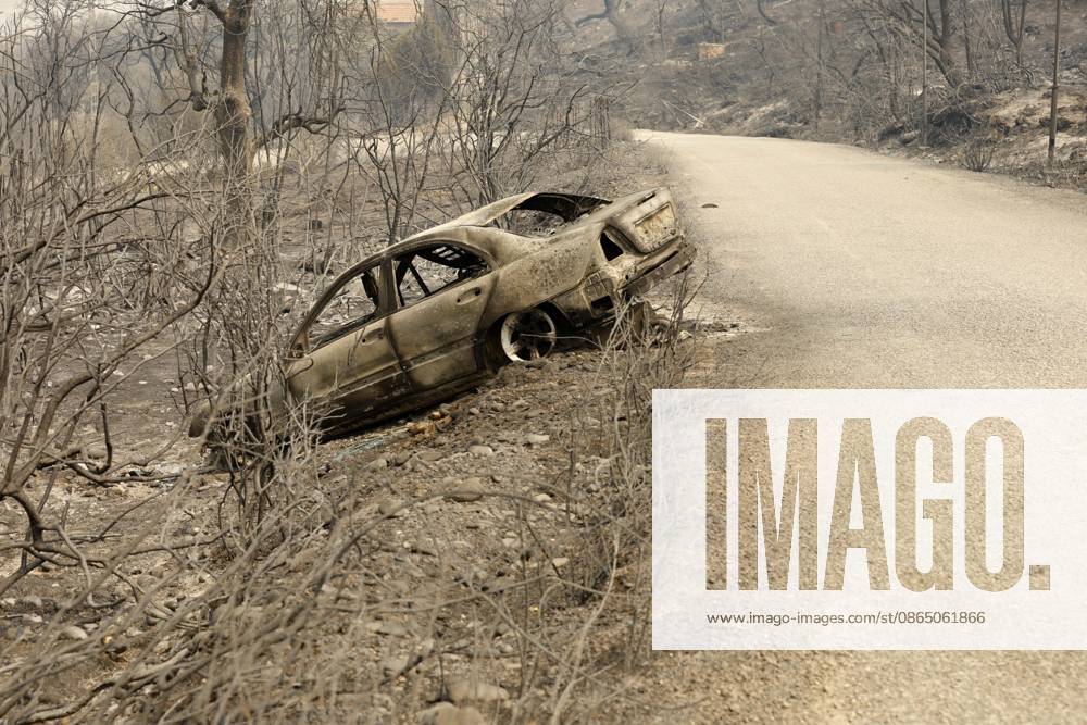 Fires in Jijel and Bedjaia: A general view of the burned houses, cars, and animals in the village of Nador, in the Jijel Mountains east of Algiers, in Algeria on August 27, 2026. The Algerian Ministry of the Interior announced that at least 12 people have died and 54 others have been injured in multiple forest fires across the country. Photo by Billel Bensalem, APP, Jijel, Algeria