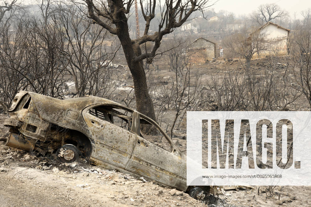 Fires in Jijel and Bedjaia: A general view of the burned houses, cars, and animals in the village of Nador, in the Jijel Mountains east of Algiers, in Algeria on August 27, 2026. The Algerian Ministry of the Interior announced that at least 12 people have died and 54 others have been injured in multiple forest fires across the country. Photo by Billel Bensalem, APP, Jijel, Algeria