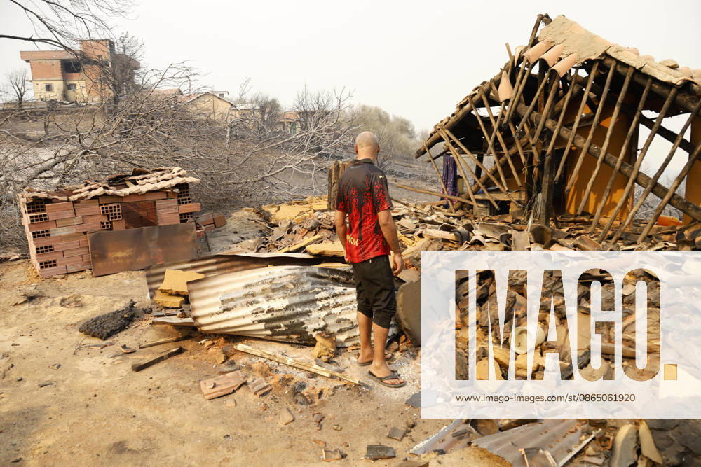 Fires in Jijel and Bedjaia: A general view of the burned-out houses, cars, and animals in the village of Nador, in the Jijel mountains east of Algiers, in Algeria on August 27, 2026. The Algerian Ministry of the Interior announced that at least 12 people have died and 54 others have been injured in multiple forest fires across the country. Photo by Billel Bensalem, APP, Jijel, Algeria