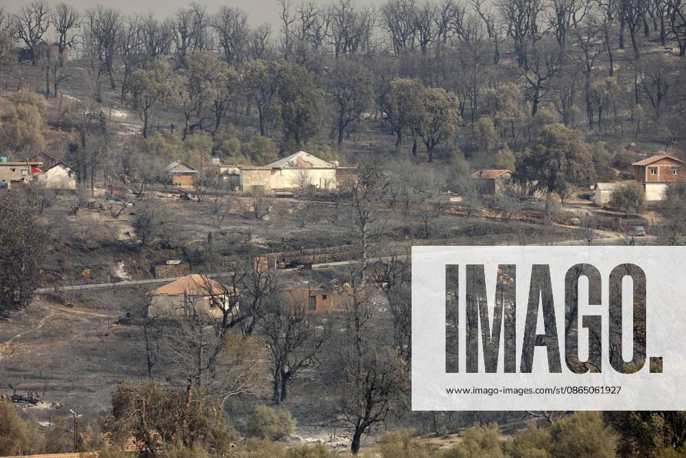 Fires in Jijel and Bedjaia: A general view of the burned-out houses, cars, and animals in the village of Nador, in the Jijel mountains east of Algiers, in Algeria on August 27, 2026. The Algerian Ministry of the Interior announced that at least 12 people have died and 54 others have been injured in multiple forest fires across the country. Photo by Billel Bensalem, APP, Jijel, Algeria