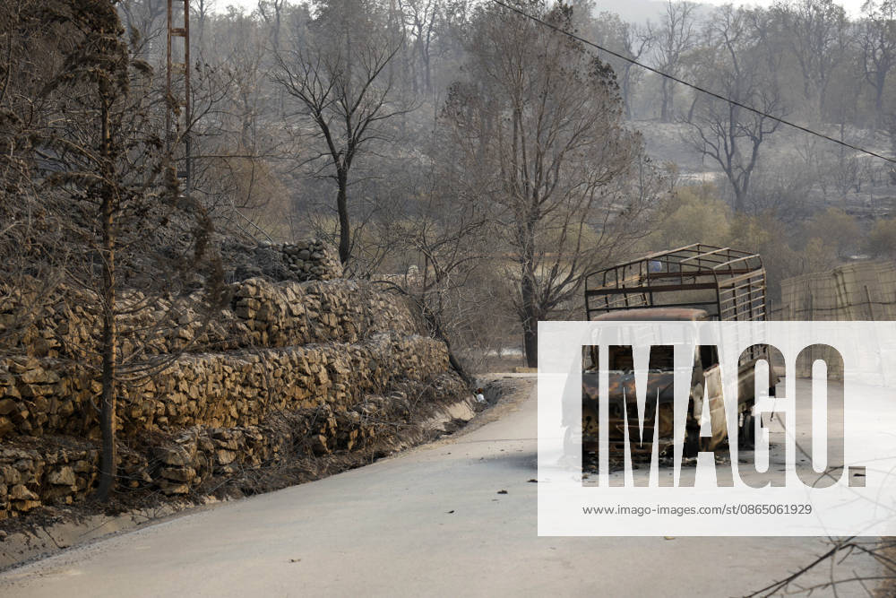 Fires in Jijel and Bedjaia: A general view of the burned-out houses, cars, and animals in the village of Nador, in the Jijel mountains east of Algiers, in Algeria on August 27, 2026. The Algerian Ministry of the Interior announced that at least 12 people have died and 54 others have been injured in multiple forest fires across the country. Photo by Billel Bensalem, APP, Jijel, Algeria