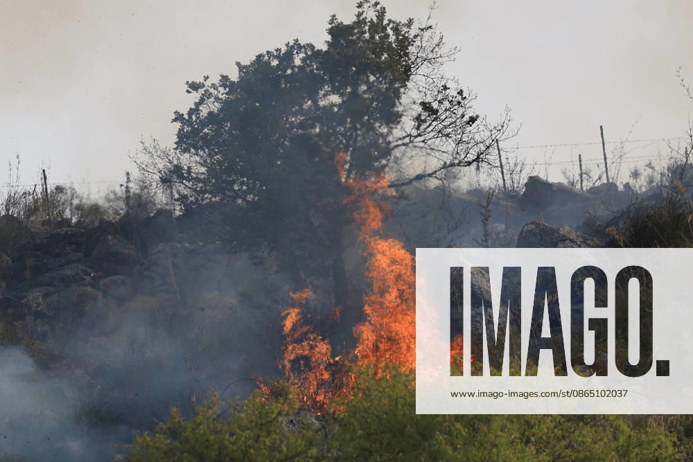 Firefighting efforts continue as wildfire burns in Sicily, Italy PALERMO, ITALY - AUGUST 27: A view of a wildfire that broke out on the slopes of Mount Gulino near Palermo in western Sicily, Italy, on August 27, 2026. Firefighters and forestry workers worked through the night to contain the flames and evacuate residents from settlements threatened by the fire. Two helicopters provided aerial support for firefighting efforts. Alberto Lo Bianco Anadolu Palermo Italy. Editorial use only. Please get in touch for any other usage.