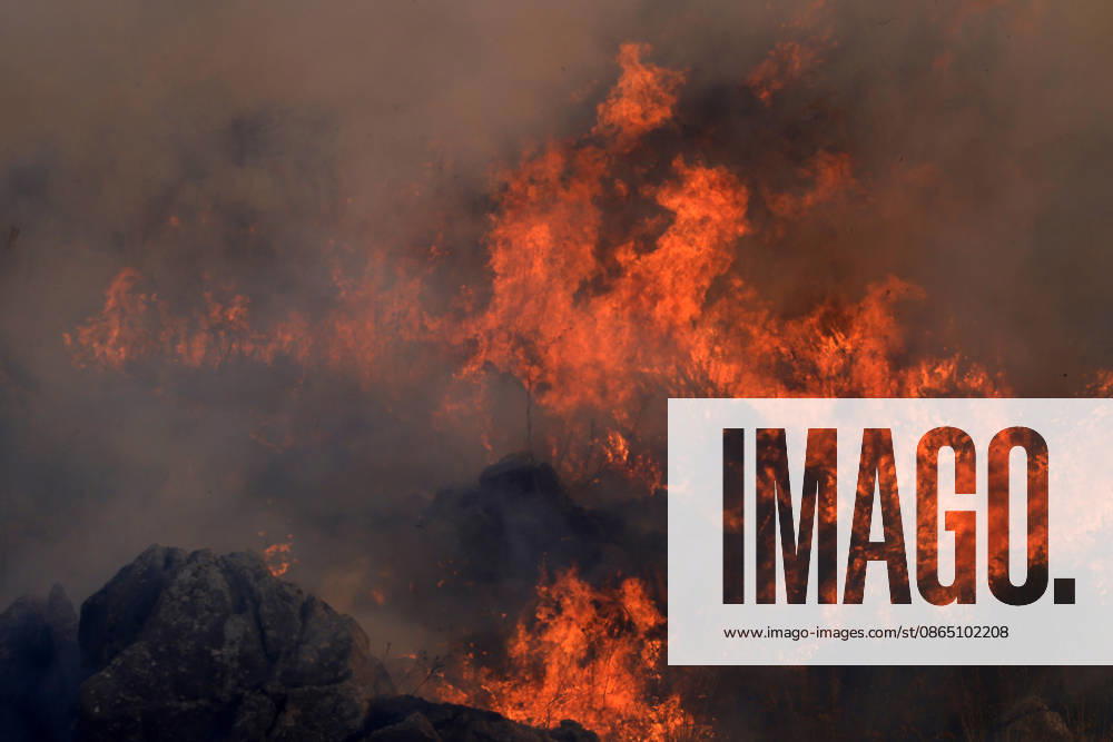Firefighting efforts continue as wildfire burns in Sicily, Italy PALERMO, ITALY - AUGUST 27: A view of a wildfire that broke out on the slopes of Mount Gulino near Palermo in western Sicily, Italy, on August 27, 2026. Firefighters and forestry workers worked through the night to contain the flames and evacuate residents from settlements threatened by the fire. Two helicopters provided aerial support for firefighting efforts. Alberto Lo Bianco Anadolu Palermo Italy. Editorial use only. Please get in touch for any other usage.