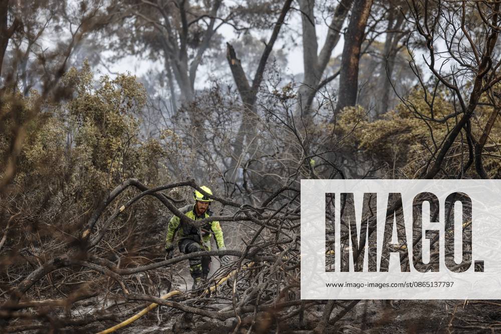 Residents of the town of El Saler, Valencia, and nearby campgrounds are ordered to evacuate due to the fire. A firefighter works to extinguish the blaze on August 28, 2026, in El Saler, Valencian Community, Spain. The spread of smoke had previously forced the preventive evacuation of the beach near the fire zone and the apartments in Tower 1, according to the town council, which has recommended that residents keep their windows closed to prevent smoke from entering their homes. In addition, the fire has prompted the Emergency Coordination Center to declare Level 2 of the Special Forest Fire Plan (PEIF). AUGUST 28, 2026 FIRE CIVIL PROTECTION VALENCIAN COMMUNITY ENVIRONMENT ENVIRONMENTAL DISASTERFOREST FIRE El Saler, Valencia, Valencian Comm