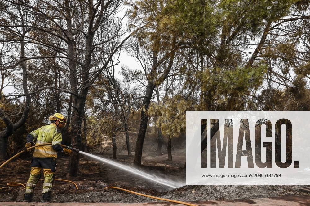 Residents of the town of El Saler, Valencia, and nearby campgrounds are ordered to evacuate due to the fire. A firefighter works to extinguish the blaze on August 28, 2026, in El Saler, Valencian Community, Spain. The spread of smoke had previously forced the preventive evacuation of the beach near the fire zone and the apartments in Tower 1, according to the town council, which has recommended that residents keep their windows closed to prevent smoke from entering their homes. In addition, the fire has prompted the Emergency Coordination Center to declare Level 2 of the Special Forest Fire Plan (PEIF). AUGUST 28, 2026 FIRE CIVIL PROTECTION VALENCIAN COMMUNITY ENVIRONMENT ENVIRONMENTAL DISASTERFOREST FIRE El Saler, Valencia, Valencian Comm