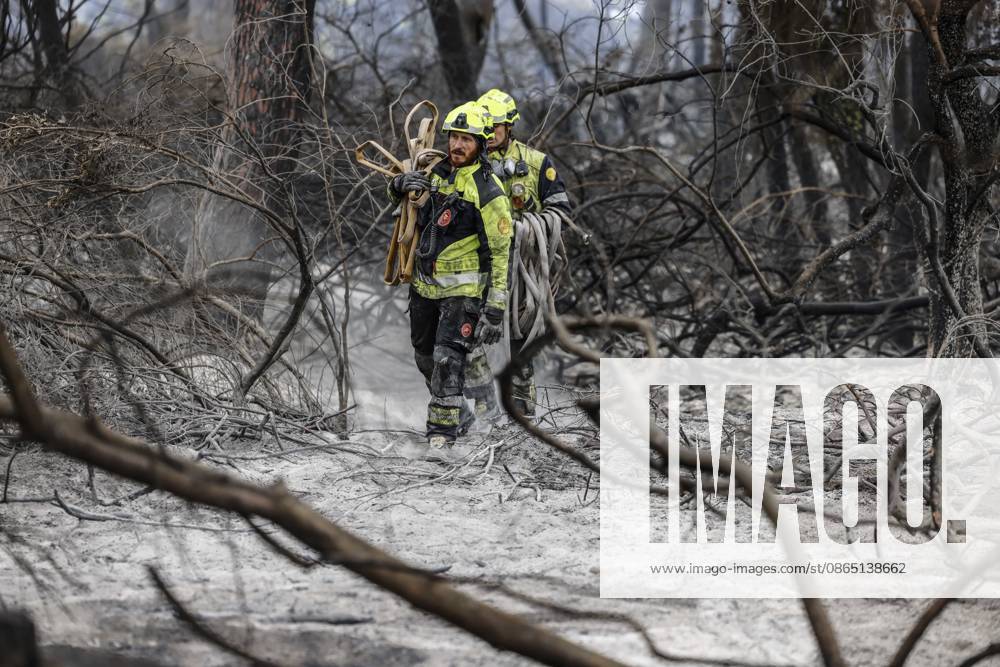 The town of El Saler in Valencia and nearby campgrounds are ordered to be evacuated due to the fire. Several firefighters are working to extinguish the blaze on August 28, 2026, in El Saler, Valencian Community, Spain. The spread of smoke had previously forced the precautionary evacuation of the beach near the fire zone and the apartments in Tower 1, according to the town council, which has recommended that residents keep their windows closed to prevent smoke from entering their homes. Additionally, the fire has prompted the Emergency Coordination Center to declare Level 2 of the Special Forest Fire Plan (PEIF). AUGUST 28, 2026 FIRE CIVIL PROTECTION VALENCIAN COMMUNITY ENVIRONMENT ENVIRONMENTAL DISASTERFOREST FIRE El Saler, Valencia, Valen
