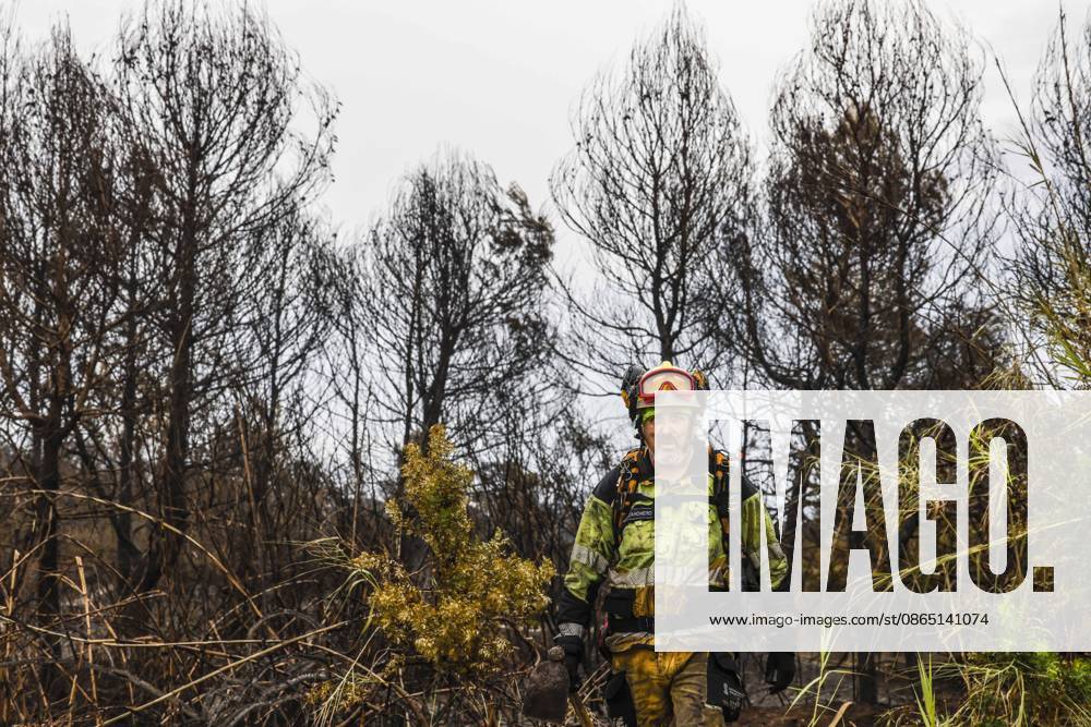 Residents of the town of El Saler, Valencia, and nearby campgrounds are ordered to evacuate due to the fire. A firefighter works to extinguish the blaze on August 28, 2026, in El Saler, Valencian Community, Spain. The spread of smoke had previously forced the precautionary evacuation of the beach near the fire zone and the apartments in Tower 1, according to the town council, which has recommended that residents keep their windows closed to prevent smoke from entering their homes. Additionally, the fire has prompted the Emergency Coordination Center to declare Level 2 under the Special Forest Fire Plan (PEIF). AUGUST 28, 2026 FIRE ENVIRONMENT CIVIL PROTECTION EMERGENCIES ENVIRONMENTAL DISASTER El Saler, Valencia, Community of Va El Saler,