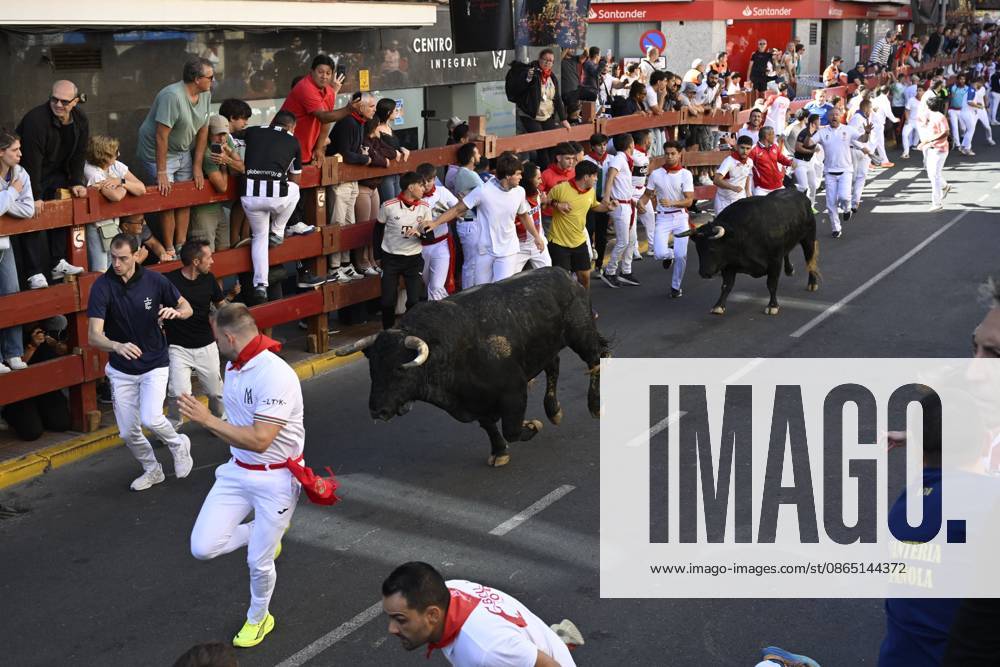 Fifth Bull Run Held in San Sebastian de los Reyes SAN SEBASTIAN DE LOS REYES, SPAIN AUGUST 28, 2026: Participants run alongside fighting bulls during the fifth bull run of the towns annual festivities in San Sebastian de los Reyes, near Madrid, Spain. San Sebastian de los Reyes ES