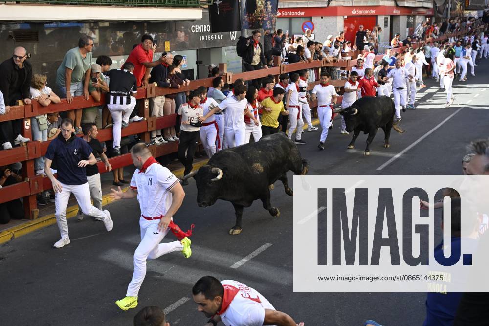 Fifth Bull Run Held in San Sebastian de los Reyes SAN SEBASTIAN DE LOS REYES, SPAIN AUGUST 28, 2026: Participants run alongside fighting bulls during the fifth bull run of the towns annual festivities in San Sebastian de los Reyes, near Madrid, Spain. San Sebastian de los Reyes ES