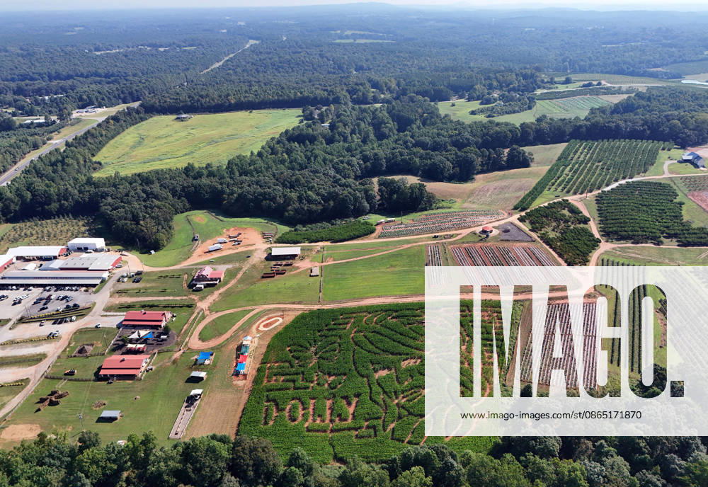 Dolly Parton corn maze at Jaemor Farms. Alto, Georgia. August 28, 2026 Alto USA - ZUMAs380 20260828_zep_s380_008