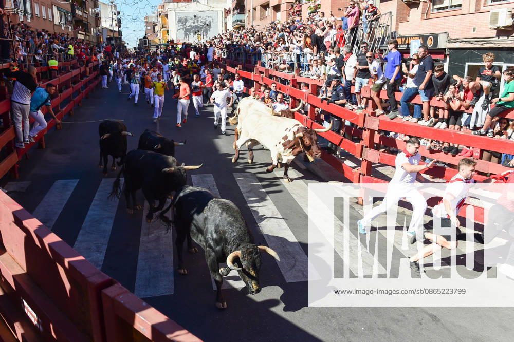 Sixth bull run of the San Sebastián de los Reyes festival in Madrid. Runners during the sixth bull run of the San Sebastián de los Reyes festival, featuring bulls from the Núnez de Tarifa ranch, on August 29, 2026, in San Sebastián de los Reyes, Madrid, Spain. This is one of the most iconic events of the patron saint festivities in honor of the Santísimo Cristo de los Remedios. The route is 820 meters long and runs from the pens to the bullring, drawing thousands of runners and spectators. During these days, there is also a nighttime bull run, a bull release, contests, and visits to the pens to see the bulls before the races. AUGUST 29, 2026 BULLS San Sebastián de los Reyes, Madrid San Sebastián de los Reyes, Madrid, Spain