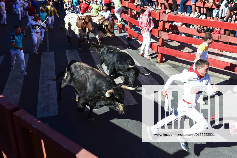 Sixth bull run of the San Sebastián de los Reyes festival in Madrid. Runners during the sixth bull run of the San Sebastián de los Reyes festival, featuring bulls from the Núnez de Tarifa ranch, on August 29, 2026, in San Sebastián de los Reyes, Madrid, Spain. This is one of the most iconic events of the patron saint festivities in honor of the Santísimo Cristo de los Remedios. The route is 820 meters long and runs from the pens to the bullring, drawing thousands of runners and spectators. During these days, there is also a nighttime bull run, a bull release, contests, and visits to the pens to see the bulls before the races. AUGUST 29, 2026 BULLS San Sebastián de los Reyes, Madrid San Sebastián de los Reyes, Madrid, Spain