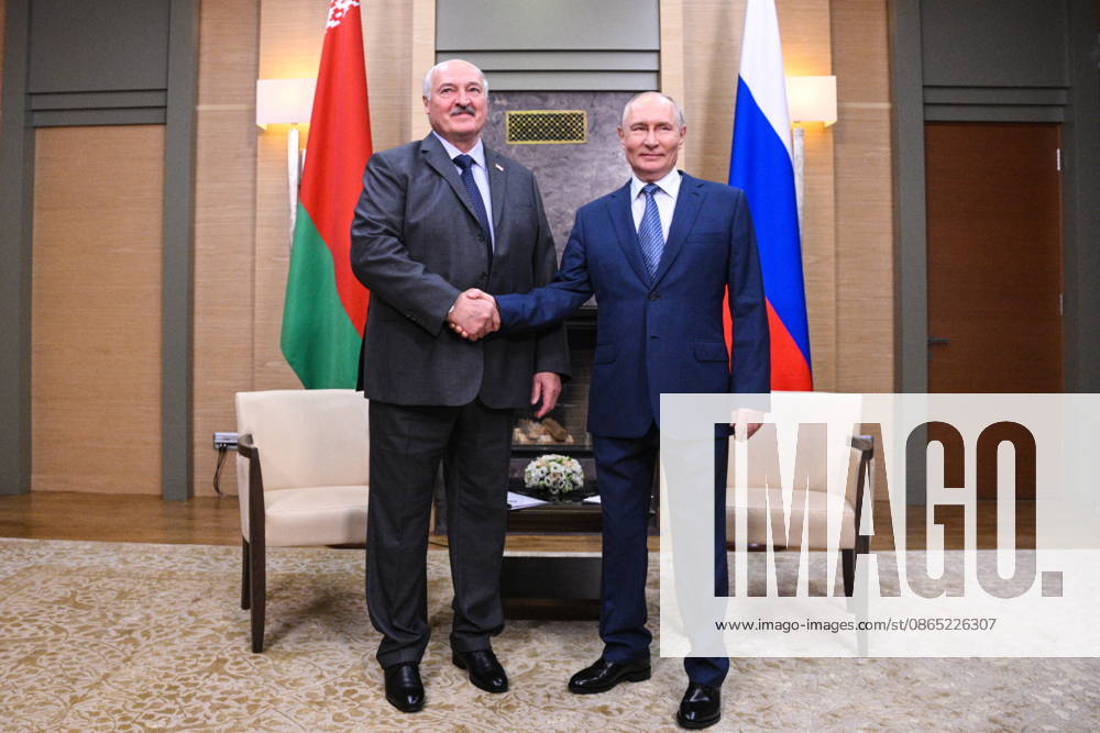 RUSSIA, MOSCOW REGION - AUGUST 29, 2026: Russia s President Vladimir Putin (R) and his Belarusian counterpart Alexander Lukashenko shake hands during a meeting at the Novo-Ogaryovo residence. Kirill Zykov POOL TASS 96785970