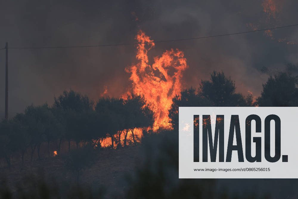 Wildfires on Italy s Sicily island threaten residential areas PALERMO, ITALY - AUGUST 29: Wildfires broke out at several locations threatened residential areas in some parts on Italy s southern island of Sicily, on August 29, 2026. Near the city of Palermo, a fire that started yesterday afternoon in the maquis shrubland stretching between the town of Ciminna and Ventimiglia di Sicilia affected a wide area. Firefighting teams responded to bring the fire under control, working from the ground with water tankers and from the air with firefighting planes and helicopters. One person injured in the fire was transported to hospital by air ambulance helicopter, while many others were forced to leave their homes along with their animals due to the f