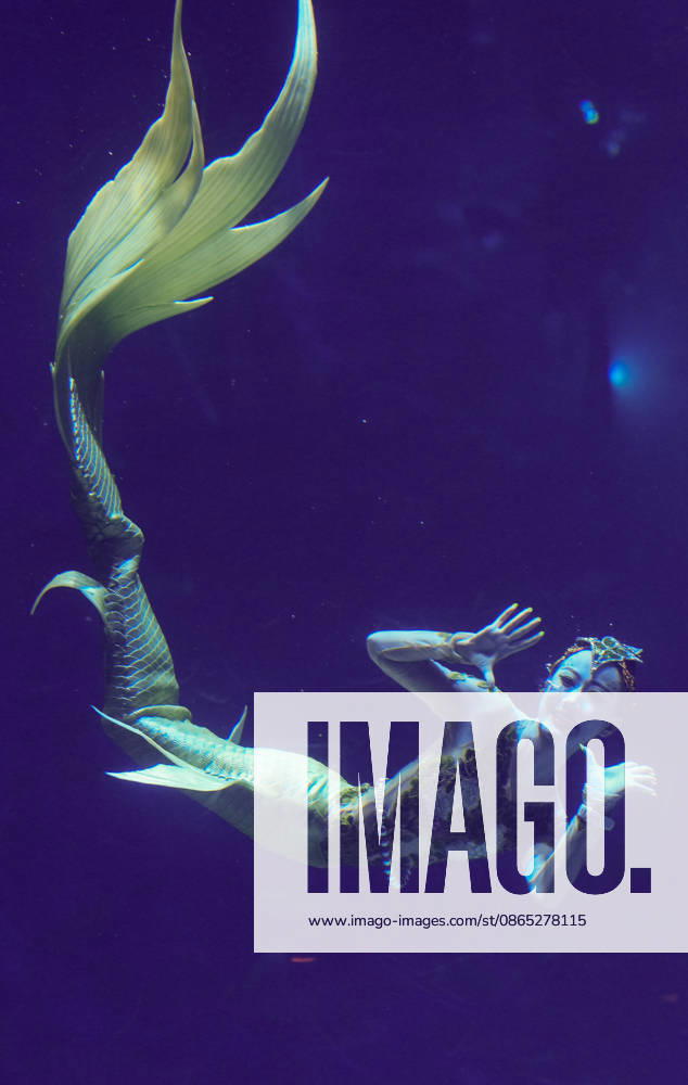 Yang Lu of Team China competes in the women s individual mermaid dance preliminary round during 2026 China Mermaid Open (Lingshui Station) at Hainan Ocean Paradise Resort on August 29, 2026 in Lingshui, Hainan Province of China.
