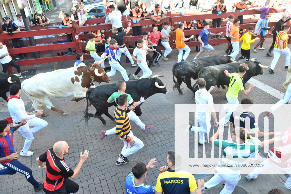 Seventh bull run of the San Sebastián de los Reyes festival in Madrid. Runners during the seventh bull run of the San Sebastián de los Reyes festival, featuring bulls from the Juan Pedro Domecq and Álvaro Núnez ranches, on August 30, 2026, in San Sebastián de los Reyes, Madrid, Spain. This is one of the most iconic events of the patron saint festivities in honor of the Santísimo Cristo de los Remedios. The route is 820 meters long and runs from the pens to the bullring, bringing together thousands of runners and spectators. During these days, there is also a nighttime bull run, bull releases, contests, and visits to the pens to see the bulls before the races. AUGUST 30, 2026 BULLS LOCAL FESTIVITIES San Sebastián de los Reyes, Madrid San Se