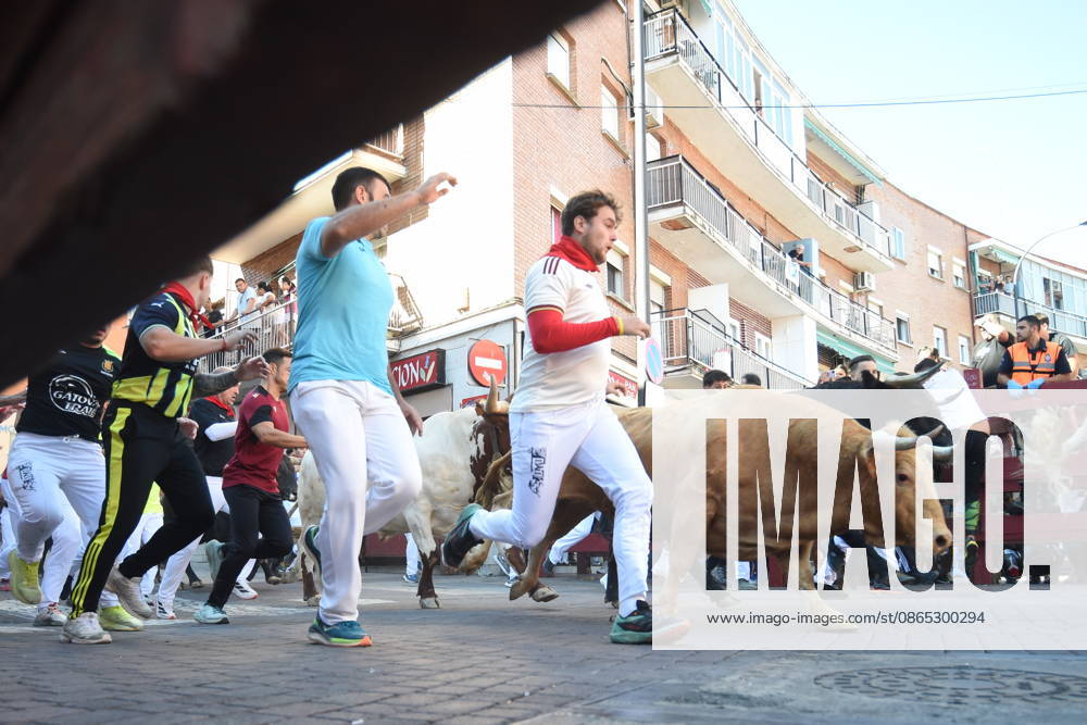 Seventh bull run of the San Sebastián de los Reyes festival in Madrid. Runners during the seventh bull run of the San Sebastián de los Reyes festival, featuring bulls from the Juan Pedro Domecq and Álvaro Núnez ranches, on August 30, 2026, in San Sebastián de los Reyes, Madrid, Spain. This is one of the most iconic events of the patron saint festivities in honor of the Santísimo Cristo de los Remedios. The route is 820 meters long and runs from the pens to the bullring, drawing thousands of runners and spectators. During these days, there is also a nighttime bull run, a bull release, contests, and visits to the pens to see the bulls before the races. AUGUST 30, 2026 BULLS LOCAL FESTIVITIES San Sebastián de los Reyes, Madrid San Sebastián d