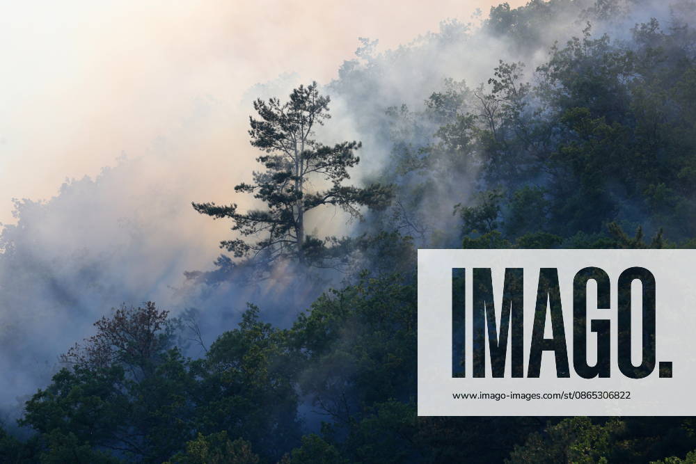 RUSSIA, REPUBLIC OF CRIMEA - AUGUST 30, 2026: Smoke billows from a burning forest on Chishma-Kaya Rocks in the vicinity of Mangul-Kale in the Bakhchisarai District. Maxim Churusov TASS 96853066