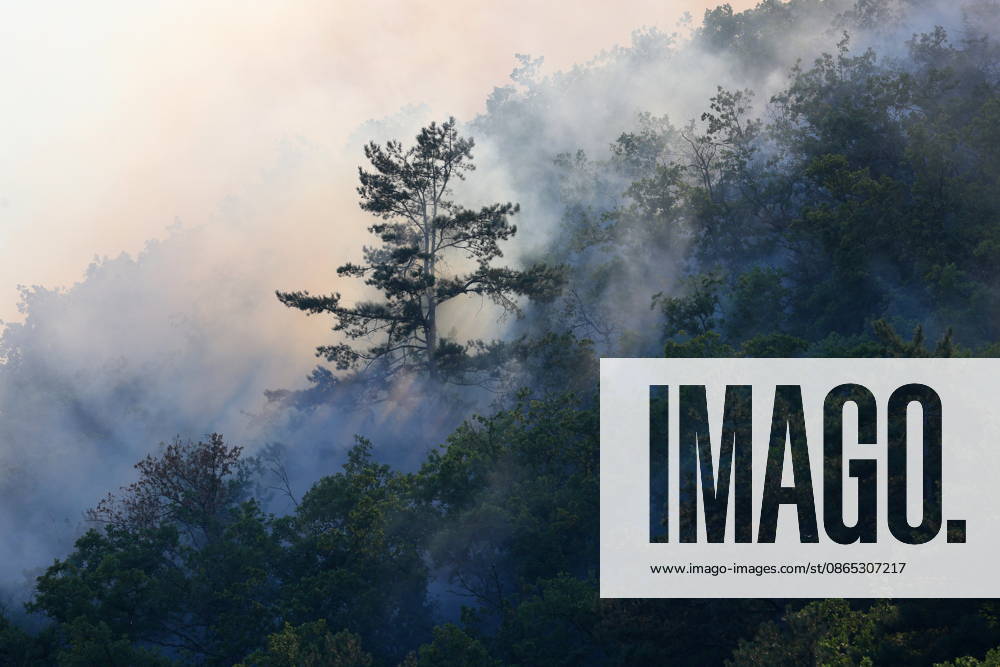 RUSSIA, REPUBLIC OF CRIMEA - AUGUST 30, 2026: Smoke billows from a burning forest on Chishma-Kaya Rocks in the vicinity of Mangul-Kale in the Bakhchisarai District Russia - ZUMAt113 20260830_zaa_t113_165