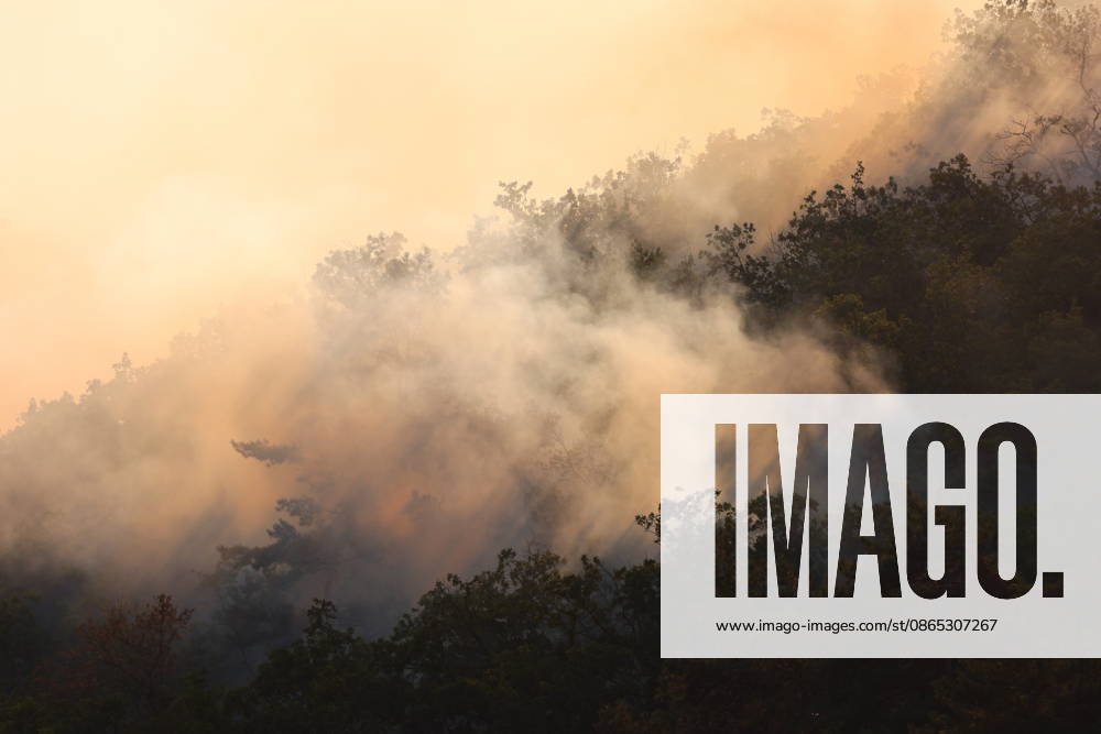 RUSSIA, REPUBLIC OF CRIMEA - AUGUST 30, 2026: Smoke billows from a burning forest on the slopes of the Chishma-Kaya Plateau in the vicinity of Mangul-Kale in the Bakhchisarai District Russia - ZUMAt113 20260830_zaa_t113_173
