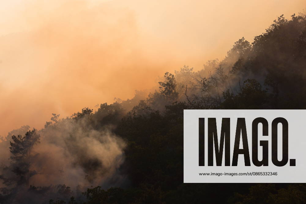 RUSSIA, REPUBLIC OF CRIMEA - AUGUST 30, 2026: Smoke billows from a burning forest on the slopes of the Chishma-Kaya Plateau in the vicinity of Mangul-Kale in the Bakhchisarai District. Maxim Churusov TASS 96853495