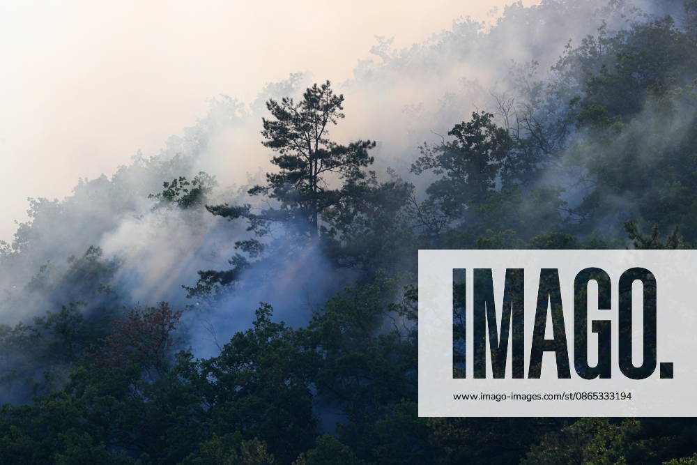RUSSIA, REPUBLIC OF CRIMEA - AUGUST 30, 2026: Smoke billows from a burning forest on the slopes of the Chishma-Kaya Plateau in the vicinity of Mangul-Kale in the Bakhchisarai District Russia - ZUMAt113 20260830_zaa_t113_352