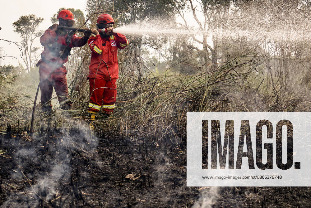 Peatland Fire In South Sumatra A Manggala Agni firefighter works to extinguish a peatland fire in Arisanjaya Village, Ogan Ilir, South Sumatra, on August 30, 2026. Ogan Ilir, South Sumatra Indonesia