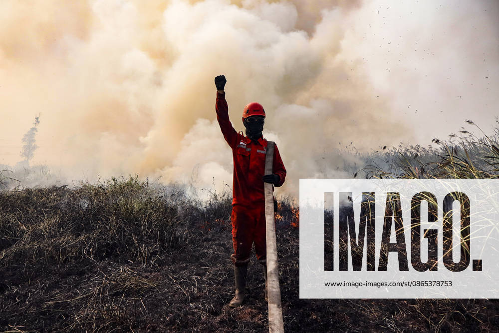 Peatland Fire In South Sumatra A Manggala Agni firefighter works to extinguish a peatland fire in Arisanjaya Village, Ogan Ilir, South Sumatra, on August 30, 2026. Ogan Ilir, South Sumatra Indonesia