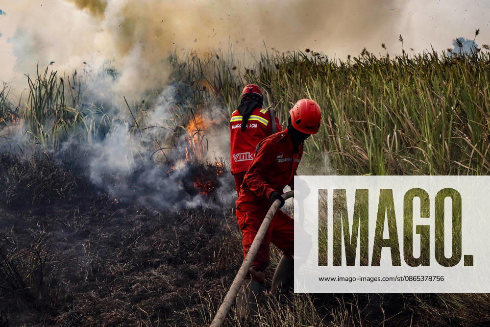 Peatland Fire In South Sumatra A Manggala Agni firefighter works to extinguish a peatland fire in Arisanjaya Village, Ogan Ilir, South Sumatra, on August 30, 2026. Ogan Ilir, South Sumatra Indonesia