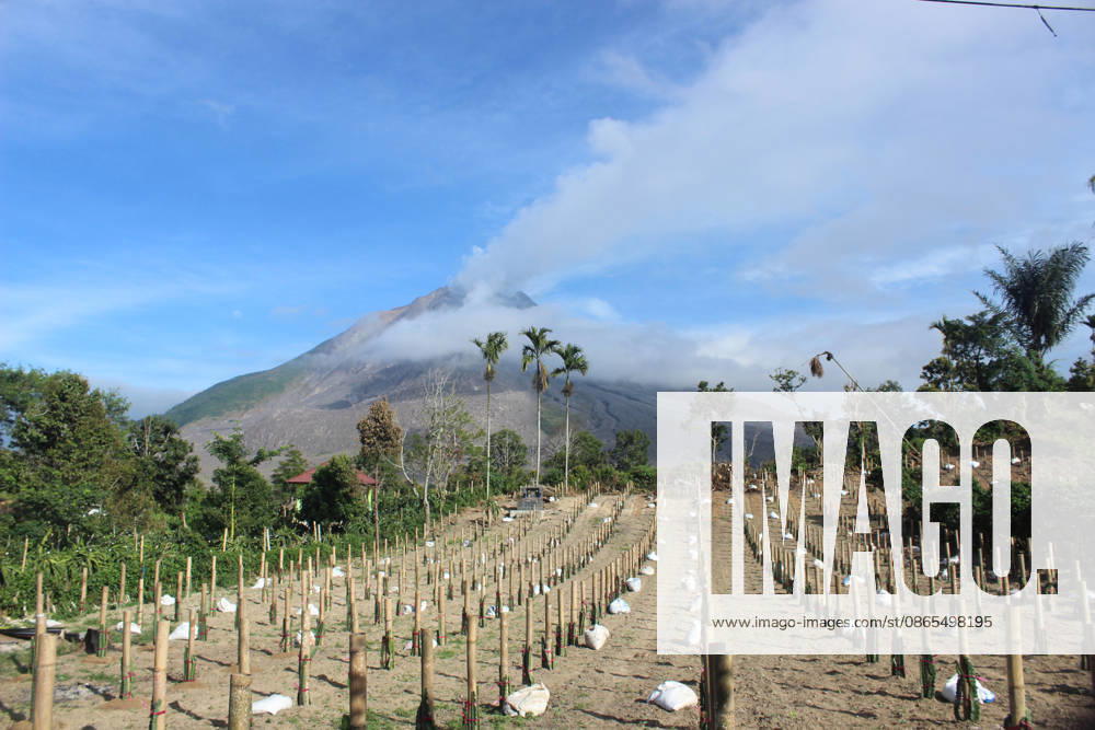 Volcanic activity continues at Mount Sinabung following massive eruption KARO, INDONESIA - SEPTEMBER 1: Volcanic activity continues at Mount Sinabung as it spews volcanic material in Karo Regency, North Sumatra, Indonesia, on September 1, 2026. Following a massive eruption on August 31 that sent a thick column of volcanic ash approximately 3,500 meters (3.5 kilometers) above its summit, the ongoing ashfall and atmospheric disruptions led to the cancellation of 21 flights to and from Kualanamu International Airport. Risky Cahyadi Anadolu Karo Indonesia. Editorial use only. Please get in touch for any other usage.