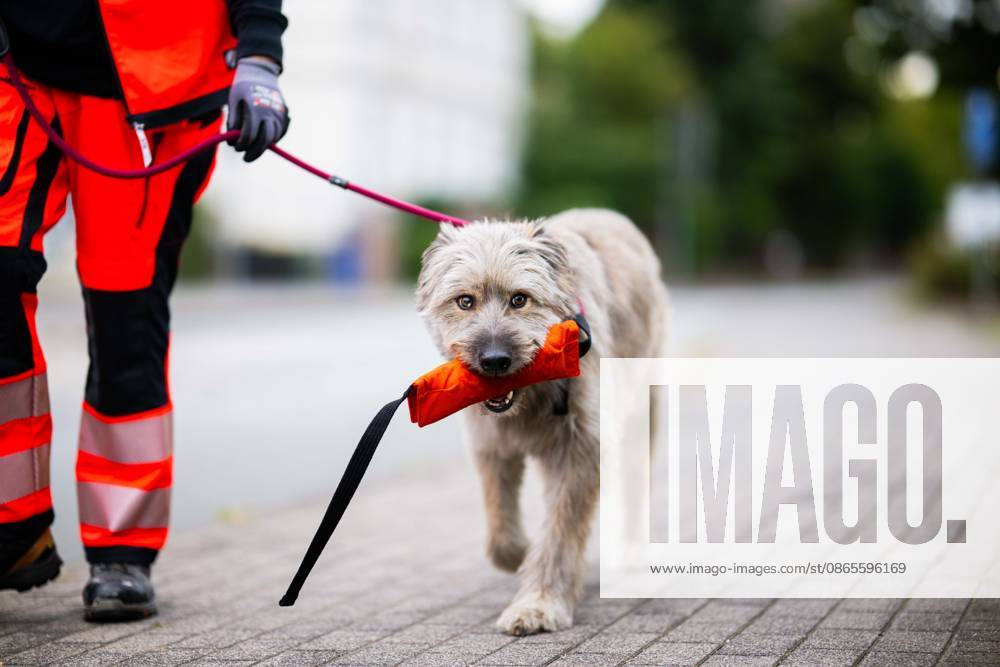 A residential building near downtown Herford, North Rhine-Westphalia, partially collapsed. It is believed that no one was inside the building, as it was reportedly undergoing renovation. Nevertheless, a search dog is searching the building for people,