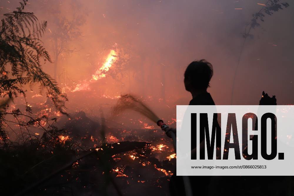 Firefighters Battle Forest Fire at Galeget Tiawu Nature Park, Indonesia PALANGKA RAYA, CENTRAL KALIMANTAN, INDONESIA SEPTEMBER 6, 2026: A team from the Central Kalimantan Natural Resources Conservation Agency (BKSDA) battles a forest fire at Galeget Tiawu Nature Park in Palangka Raya, Central Kalimantan, Indonesia.The BKSDA team continues to extinguish the fire from morning until night, particularly in the conservation area. Palangka Raya Indonesia